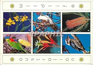 Immagine del venditore per Carte Postale Moderne Australia Native australian flowers & Birds venduto da CPAPHIL