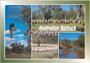 Carte Postale Moderne Australia Australian Outback
