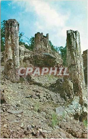 Carte Postale Ancienne Yellowstone National Park