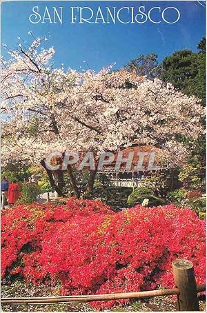 Immagine del venditore per Carte Postale Moderne San Francisco Japanese Tea Garden venduto da CPAPHIL