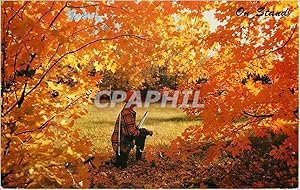 Carte Postale Moderne On Stand Chasse