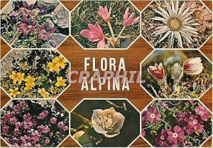 Bild des Verkufers fr Carte Postale Moderne Flora alpina zum Verkauf von CPAPHIL