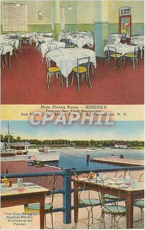 Carte Postale Moderne Herzog's Main Dining Room Restaurant Washington