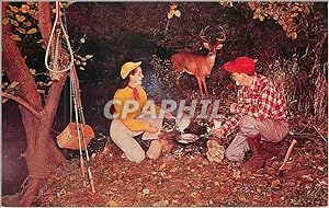 Carte Postale Moderne A Big Buck Looks On Chasse