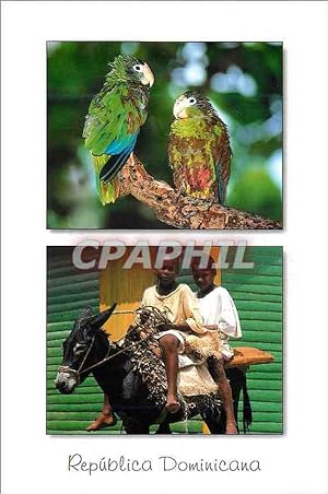 Immagine del venditore per Carte Postale Moderne Republica Dominicana Dos amigos Perroquet Ane Donley venduto da CPAPHIL