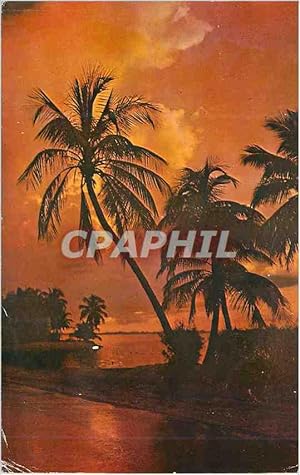 Carte Postale Moderne Florida land of tropical beauty