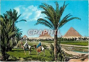 Carte Postale Moderne The Giza Pyramid Group