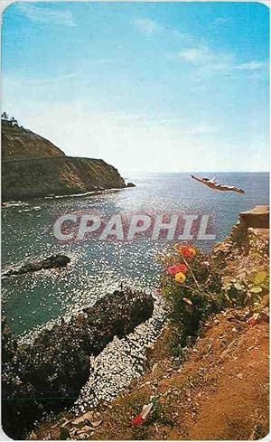 Immagine del venditore per Carte Postale Moderne Mexico Native boys thrill spectators with high dives into the shallow foamy waters of the Quebrada venduto da CPAPHIL