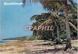 Immagine del venditore per Carte Postale Moderne Guadeloupe La Guadeloupe en coleurs La plage La Ferriere a Capesterre Marie Galante venduto da CPAPHIL