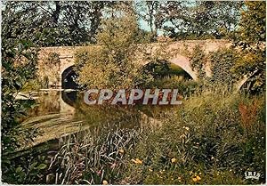 Carte Postale Moderne Saint Junien Hte Vienne Le Pont Sainte Elisabeth