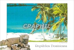 Carte Postale Moderne Republica Dominicana Iguana