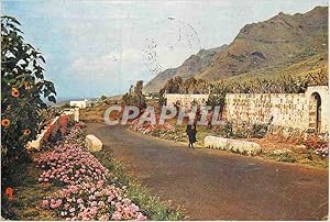 Carte Postale Moderne Islas Canarias