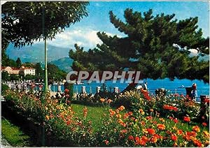 Carte Postale Moderne Baveno Lago Maggiore