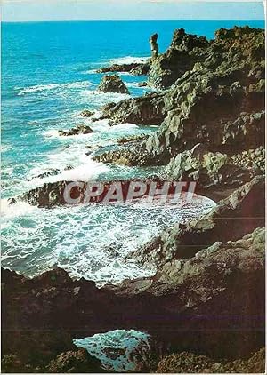 Seller image for Carte Postale Moderne Lanzarote les bouillonnements for sale by CPAPHIL