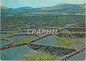 Seller image for Carte Postale Moderne Lanzarote for sale by CPAPHIL