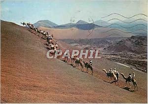 Seller image for Carte Postale Moderne Lanzarote Montana del Fuego (Caravana) Chameaux for sale by CPAPHIL
