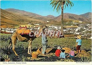 Seller image for Carte Postale Moderne Canary islands yaiza lanzarote for sale by CPAPHIL
