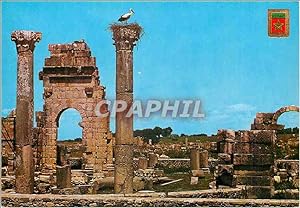 Bild des Verkufers fr Carte Postale Moderne Volubilis Ruine du Temple zum Verkauf von CPAPHIL