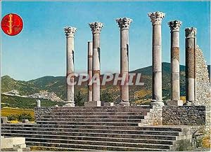 Bild des Verkufers fr Carte Postale Moderne Volubilis Le Temple du Capitole zum Verkauf von CPAPHIL