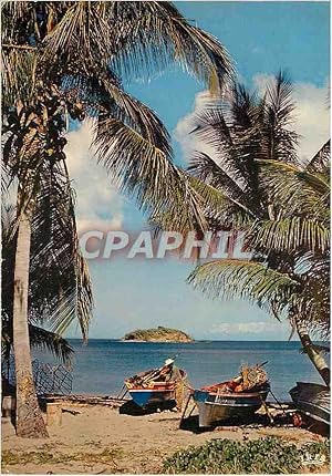 Carte Postale Moderne Martinique Antilles Radieuses Plage de pecheurs