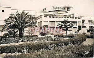 Seller image for Carte Postale Moderne Safi les jardins de l'htel marhaba for sale by CPAPHIL