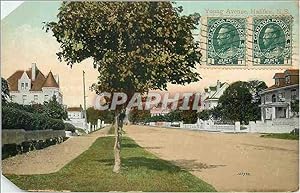 Carte Postale Ancienne Young Avenue Halifax NS
