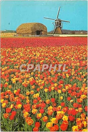 Immagine del venditore per Carte Postale Moderne La Hollande en parure des fleurs Moulin a vent venduto da CPAPHIL