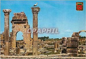 Bild des Verkufers fr Carte Postale Moderne Volubilis Ruines du Temple zum Verkauf von CPAPHIL