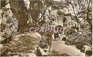 Imagen del vendedor de Carte Postale Ancienne The zig zag path folkeston a la venta por CPAPHIL