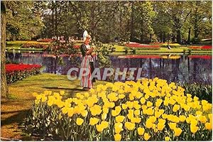 Bild des Verkufers fr Carte Postale Moderne La Hollande en parure des fleurs zum Verkauf von CPAPHIL