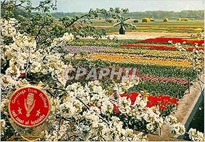 Bild des Verkufers fr Carte Postale Moderne La Hollande en Parure des Fleurs zum Verkauf von CPAPHIL