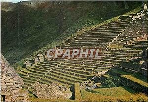 Carte Postale Moderne Andenes Incaicos Inca Terraces for Agriculture Machupicchu Peru