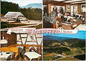 Carte Postale Moderne Hohengasthaus und Pension Landwassereck