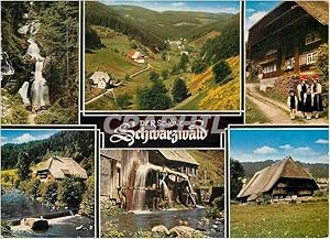 Bild des Verkufers fr Carte Postale Moderne Der Schone Schwarzwald zum Verkauf von CPAPHIL