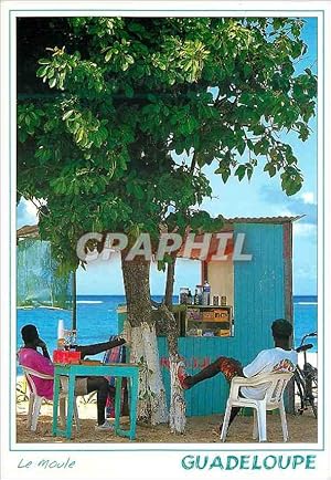 Carte Postale Moderne Guadeloupe Ti-punck sur la plage du Moule