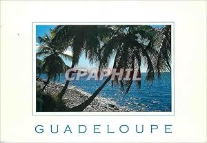 Carte Postale Moderne Guadeloupe Bouillante Anse a galets