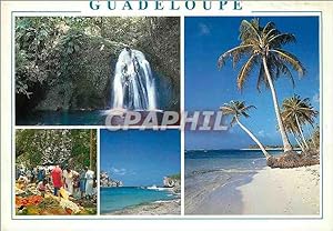 Carte Postale Moderne Guadeloupe cascade aux ecrevisses plage des Raisins Clairs marche au fruits...