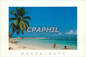 Carte Postale Moderne Guadeloupe Plage Caravelle Ste Anne