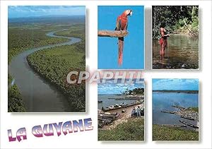 Carte Postale Moderne Guyane française Le Maroni Ara Indien Wayana Perroquet