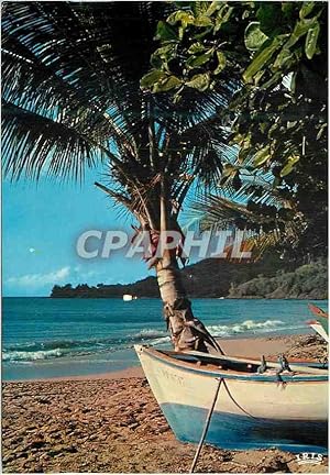 Carte Postale Moderne Guadeloupe Plage de pecheurs apres Deshaies