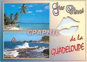 Carte Postale Moderne Guadeloupe