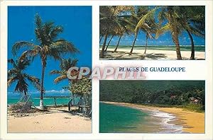 Carte Postale Moderne Guadeloupe Plage de Guadeloupe