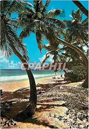 Bild des Verkufers fr Carte Postale Moderne Seychelles Mahe zum Verkauf von CPAPHIL