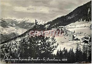 Carte Postale Moderne Sole e Neve Tra Le Pinete di Peroulaz e S Pantaleon m 1375