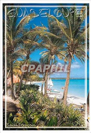 Carte Postale Moderne Guadeloupe Saint-Francois