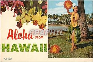 Carte Postale Moderne Aloha from Hawaii