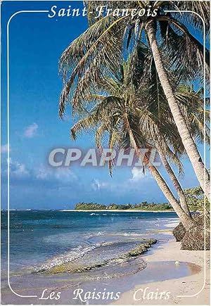 Carte Postale Moderne Guadeloupe Saint-Francois Plage des Raisins Clairs