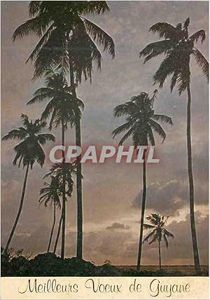 Carte Postale Moderne Guyane française Meilleurs Voeux de Guyane