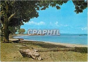 Carte Postale Moderne Guyane française Cayenne La plage des Amandiers