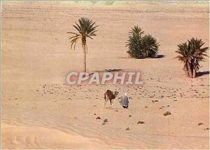 Carte Postale Moderne Sud Tunisien Vers le Sahara